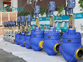 良固閥門開拓非洲能源新藍海，誠邀全球合作伙伴共襄綠色未來